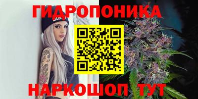 mix Будённовск