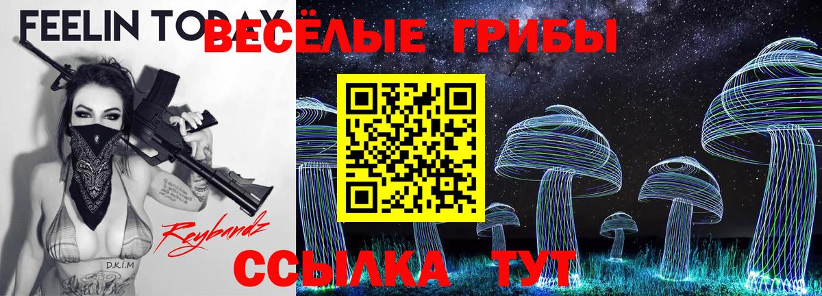 Псилоцибиновые грибы MAGIC MUSHROOMS Осинники