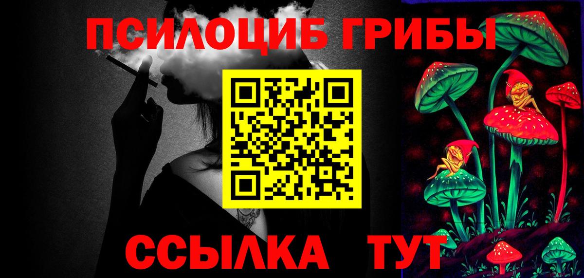 Псилоцибиновые грибы прущие грибы  Вход с VPN  Осинники 